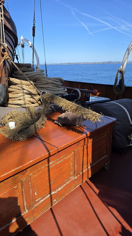 Coiled lines and baggywrinkle, land in sight