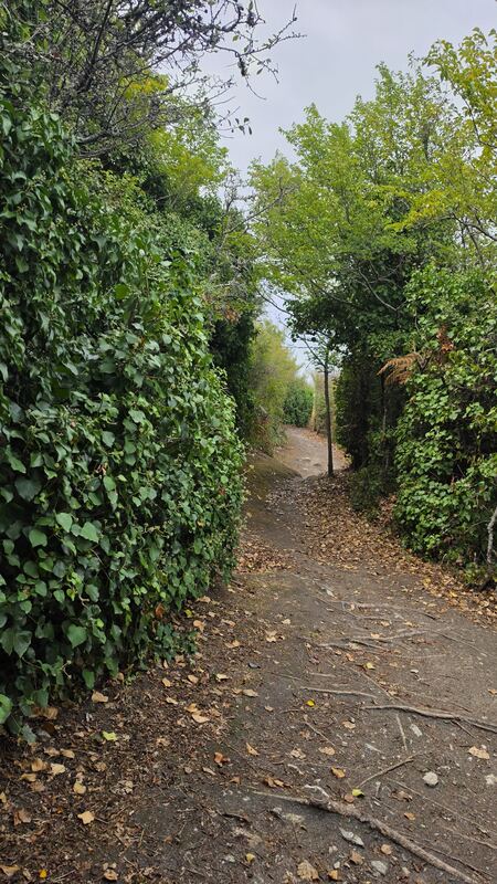 A green lane, Île de Groix