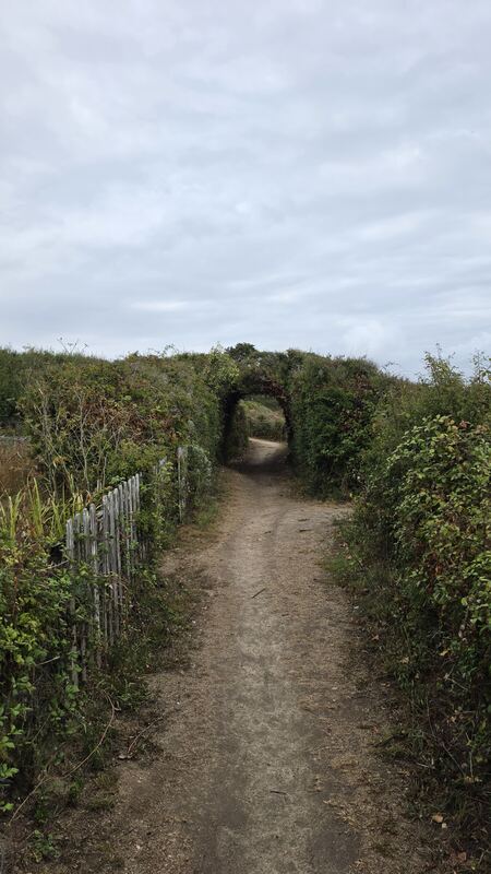 The path through the hedge, Île de Groix