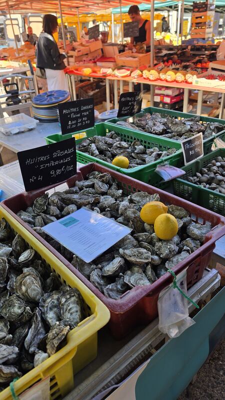 Oysters at the market, La Rochelle