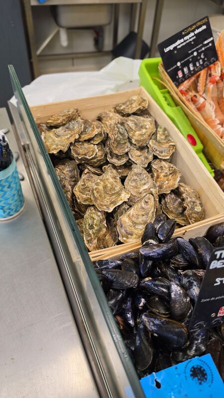 Oysters, mussels and langoustines on ice